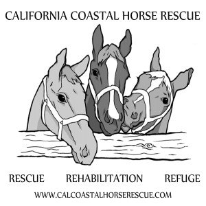 California Coastal Horse Rescue