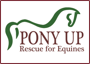 pony-up-equine-rescue-logo