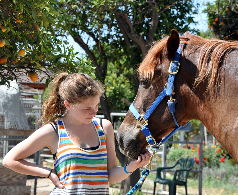 Grand Meadows | Girl and a Horse