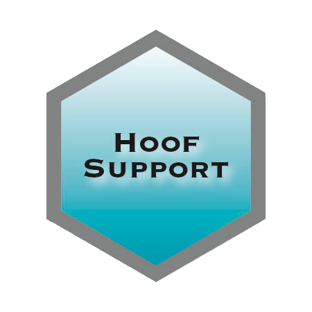 Horse Hoof Support
