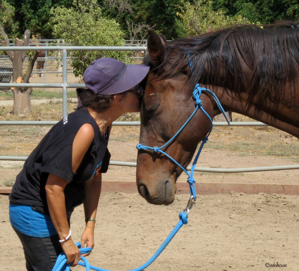 Grand Meadows - Girl Kissing Horse