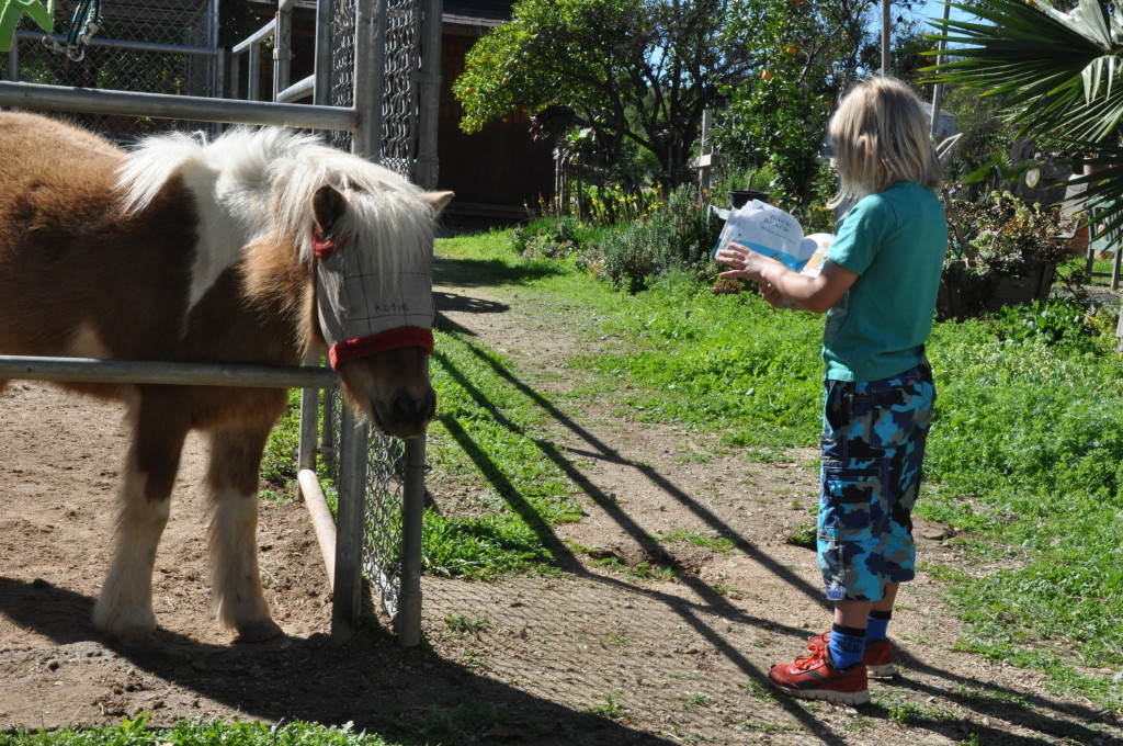 Pony Tales Reading Club at the California Coastal Horse Rescue Pony Tales Reading Club at the California Coastal Horse Rescue