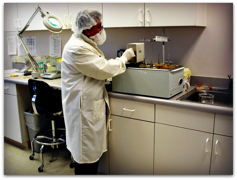 Grand Meadows Science Lab