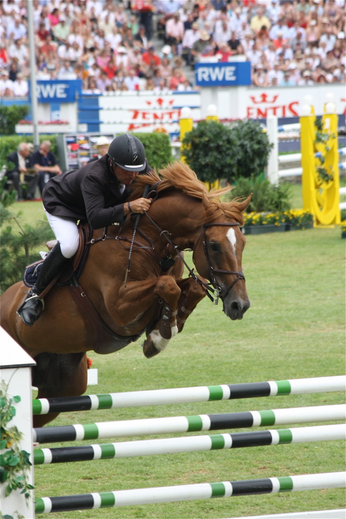 Pan Am Equestrian Games