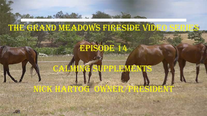 Calming Supplements for Horses