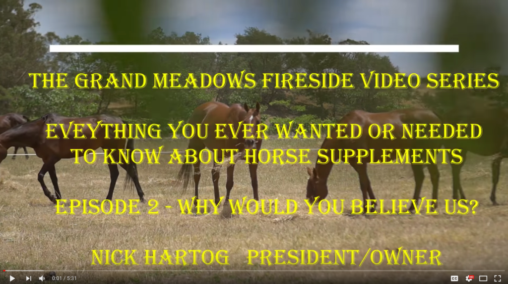 Fireside Chat Video 2 - Why Believe Grand Meadows