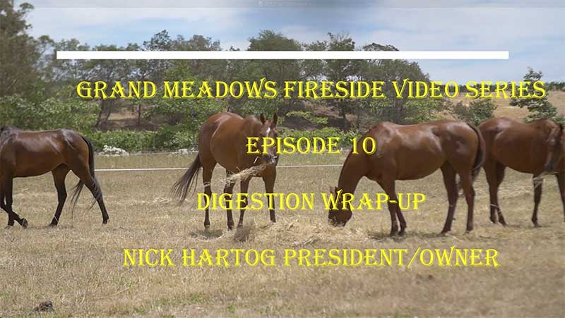 Grand Meadows Fireside Chat - Episode 11 - Digestion Wrap Up