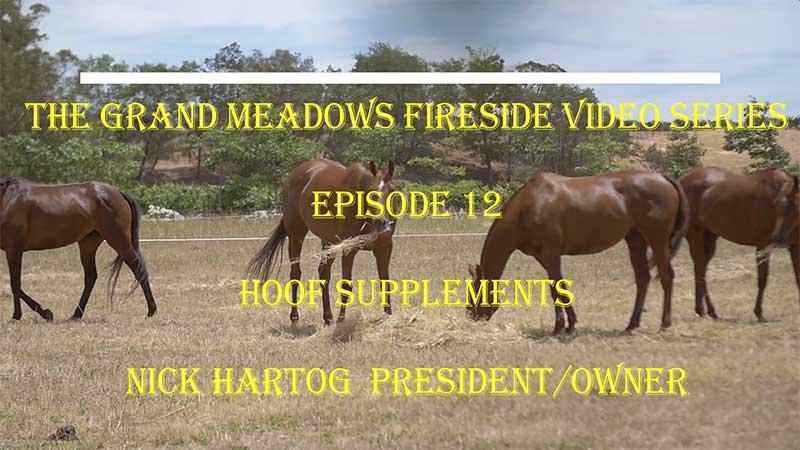 Grand Meadows Fireside Chat - How to Select a Hoof Supplement