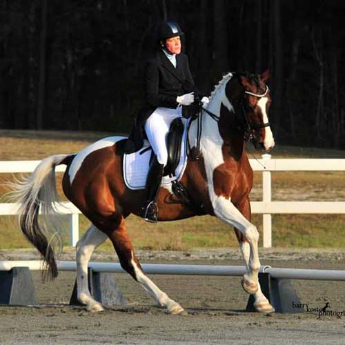 Heather Mehal Dressage