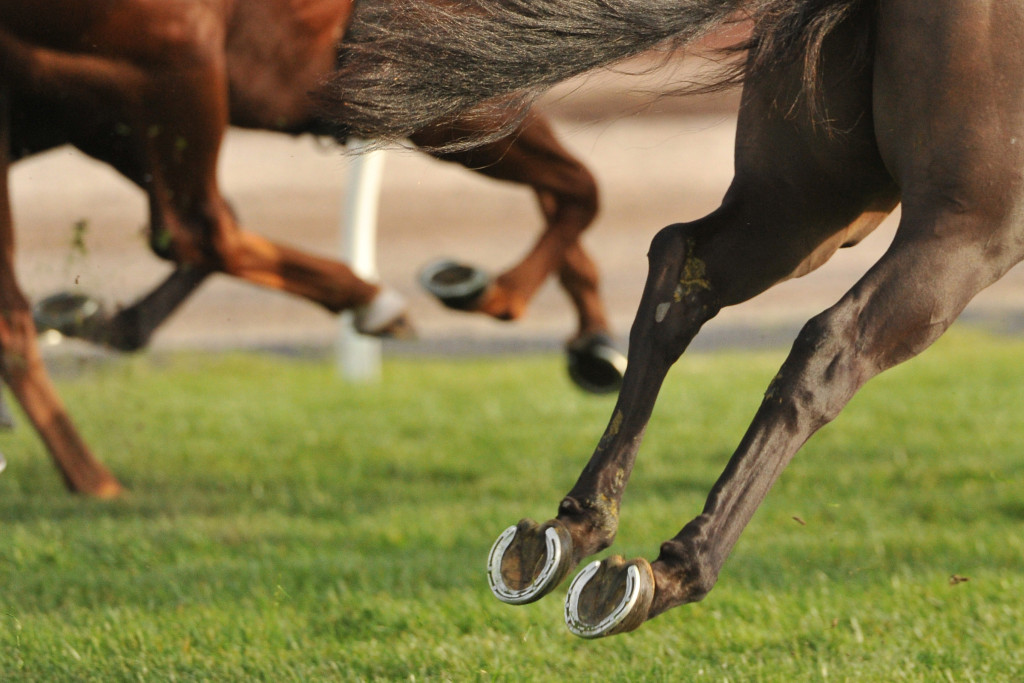 Hooves of Running Horses