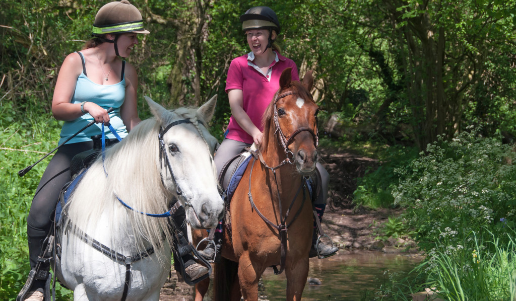 Horse Riders on Trail
