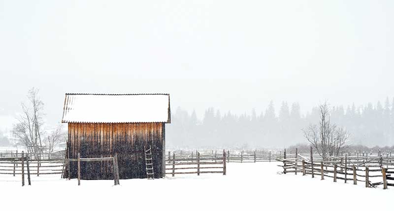 How to Care for Your Horse in the Winter