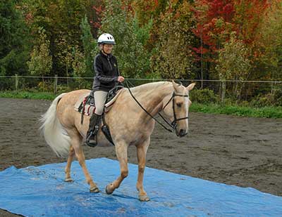 Lynn riding Sapphire