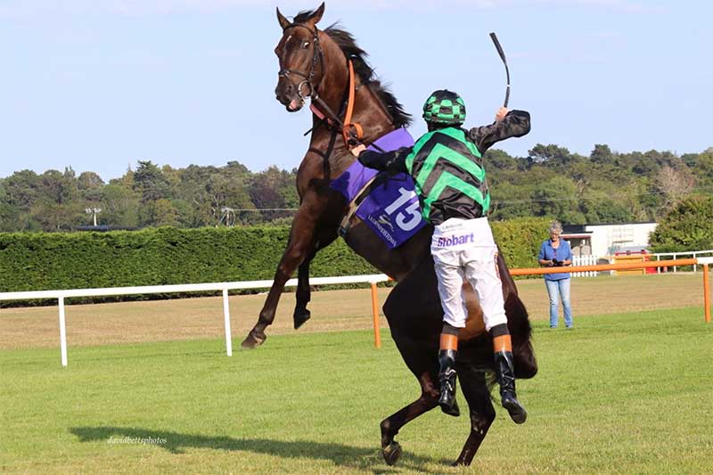 Rider Falling from Horse