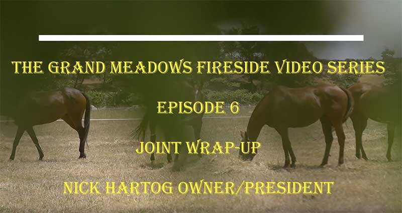 Fireside Chat Episode 6 - Horse Joint Supplement Wrap-Up