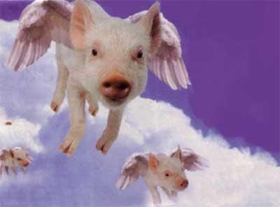 Flying pigs.