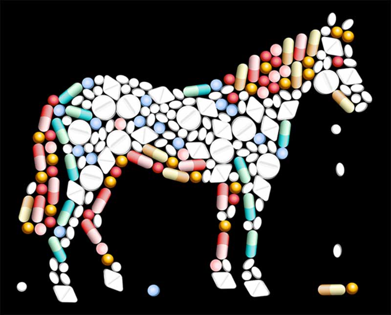 Horse Supplements