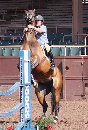 Horse Jumping