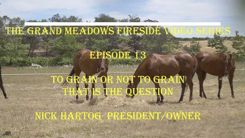 Grand Meadows Fireside Chat 13 - To Grain or Not To Grain