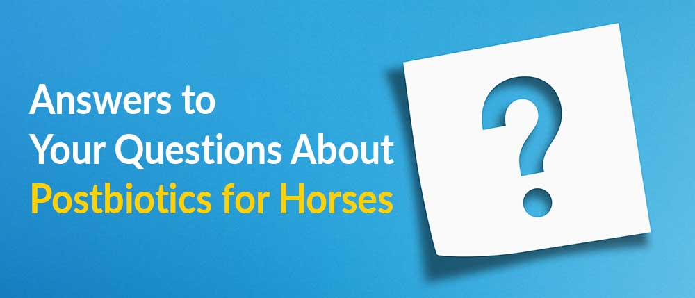 Postbiotics for Horses FAQ