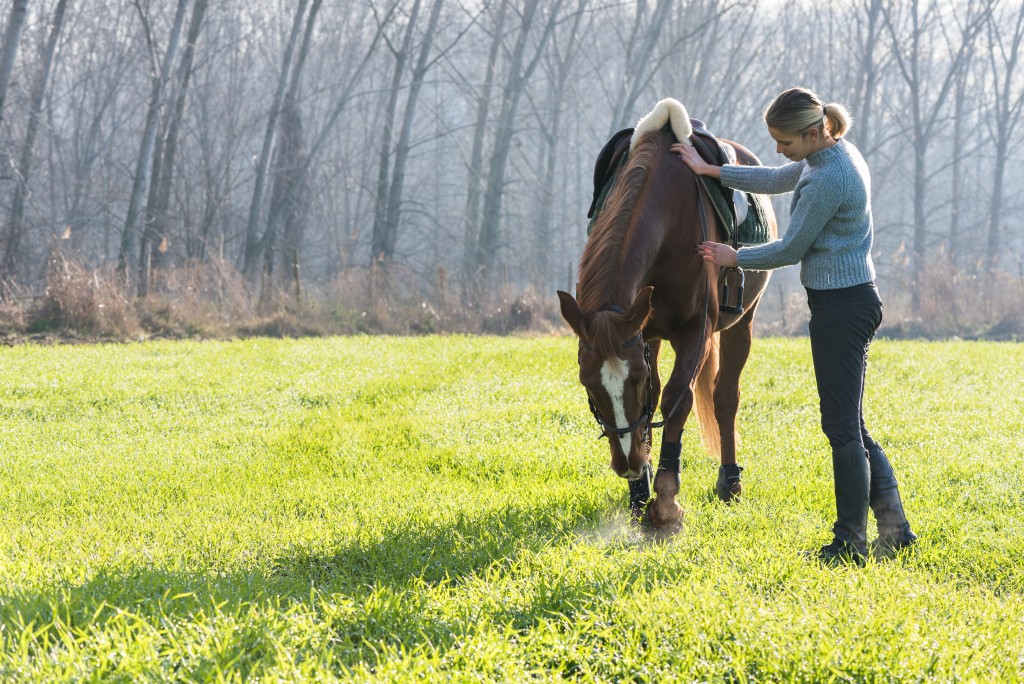 Girl With Horse