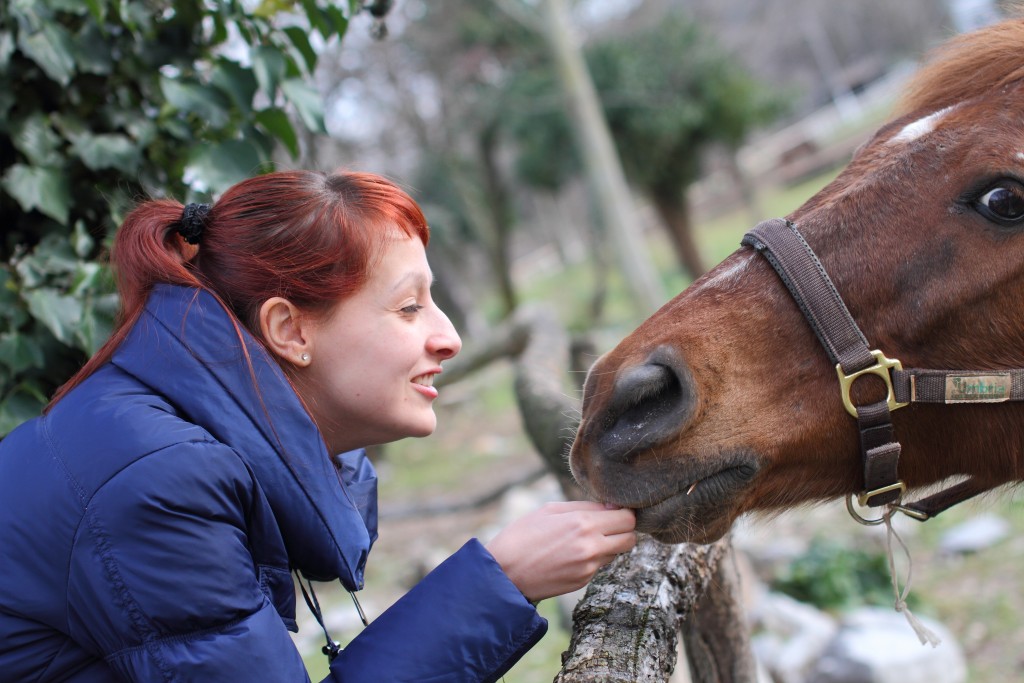 Woman Feeding Horse